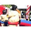 Sumo Wrestling - Image 2