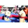 Sumo Wrestling - Image 3