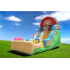 Funny Farm Slide - Image 4