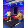 Sumo Wrestling - Image 5