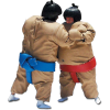 Sumo Wrestling